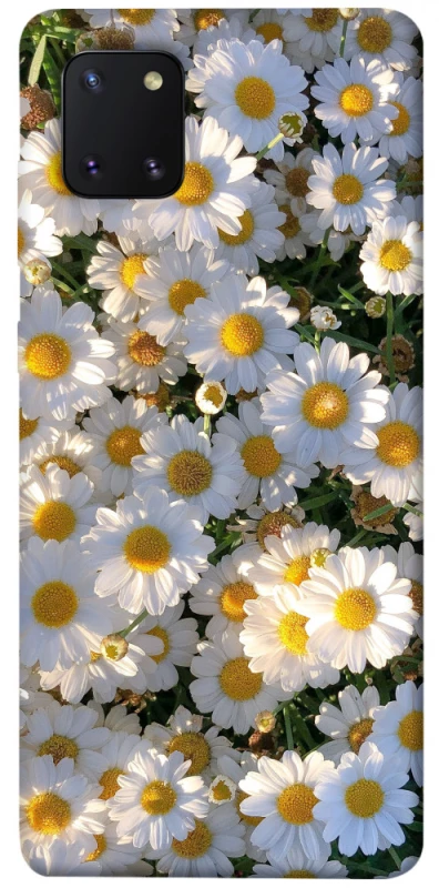 Чехол на Samsung Galaxy Note 10 Lite (A81) Поле ромашек фото 1 из 1