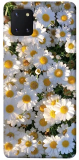 Чехол на Samsung Galaxy Note 10 Lite (A81) Поле ромашек фото 1 из 1