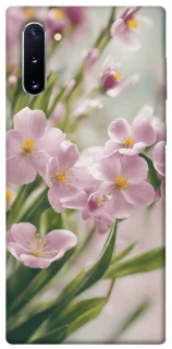 Чехол на Samsung Galaxy Note 10 Spring фото 1 из 1