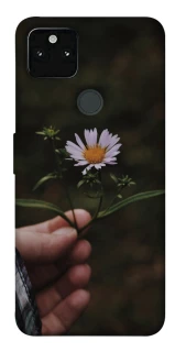 Чехол на Google Pixel 5A Ромашка v4 фото 1 из 1