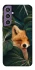 Чохол на Samsung Galaxy S23 FE Fox фото 1 з 1