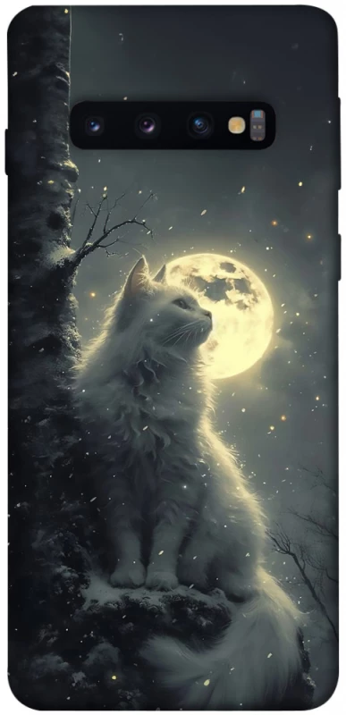 Чохол на Samsung Galaxy S10 Кіт під місяцем фото 1 з 1