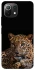 Чехол на Xiaomi Mi 11 Lite Leopard v4 фото 1 из 1