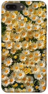 Чехол на Apple iPhone 7 plus / 8 plus Camomile фото 1 из 1