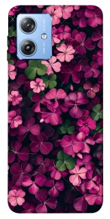 Чехол на Motorola Moto G84 Flowers v7 фото 1 из 1