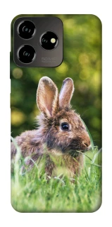 Чехол на ZTE Blade V50 Design 4G Кролики фото 1 из 1