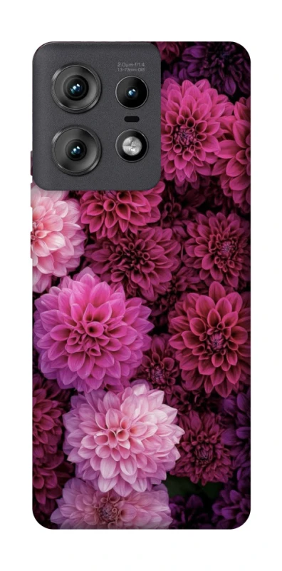 Чохол на Motorola Edge 50 Pro Garden1 фото 1 з 1