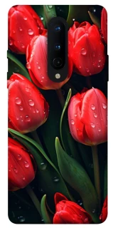 Чехол на OnePlus 8 Красные тюльпаны фото 1 из 1