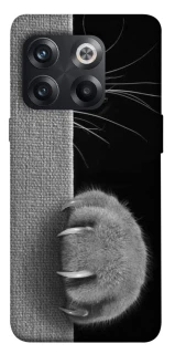 Чехол на OnePlus 10T Spy Cat фото 1 из 1