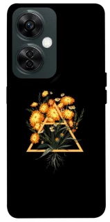 Чохол на OnePlus Nord CE 3 Lite Flowers ver.1 фото 1 Чохол на OnePlus Nord CE 3 Lite Flowers ver.1 фото 1 з 1