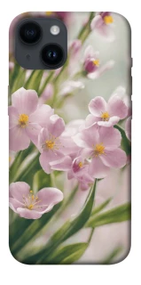 Чехол на Apple iPhone 14 (6.1") Spring фото 1 из 1