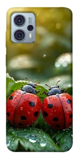 Чохол на Motorola Moto G23 Flowers v23 фото 1 Чохол на Motorola Moto G23 Flowers v23 фото 1 з 1