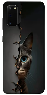 Чехол на Samsung Galaxy S20 Кот-подглядыватель v2 фото 1 из 1