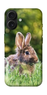 Чехол на Apple iPhone 16 Кролики фото 1 из 1