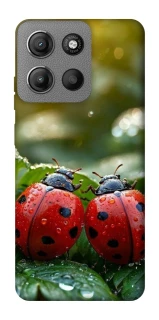 Чохол на Motorola Moto G15 4G Flowers v23 фото 1 з 1