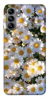 Чехол на Samsung Galaxy A04s Поле ромашек фото 1 из 1