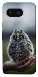 Чехол на Google Pixel 8 Совёнок фото 1 из 1