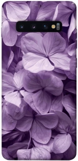 Чехол на Samsung Galaxy S10+ Floral Symphony фото 1 из 1