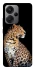 Чохол на Xiaomi Redmi Note 13 Pro+ Leopard v2 фото 1 з 1