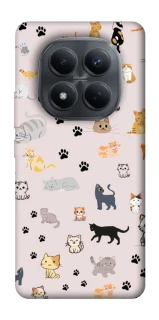 Чохол на Xiaomi Redmi Note 15 Pro 4G Cat style ver.1 фото 1 з 1