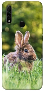 Чехол на Oppo A31 Кролики фото 1 из 1