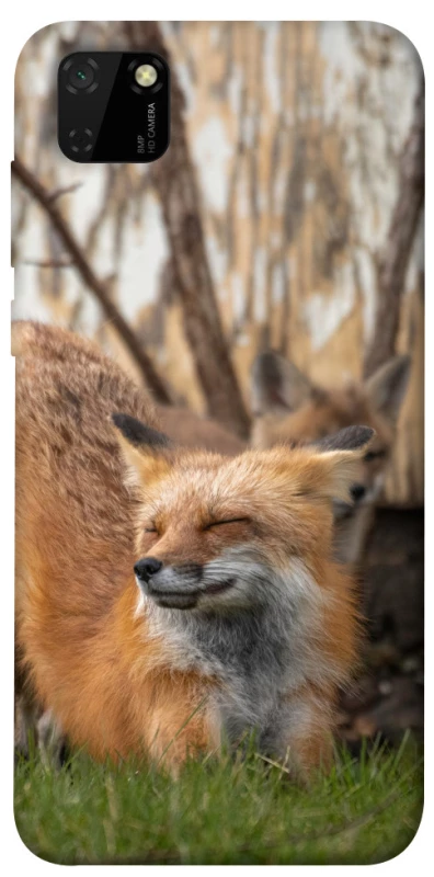 Чехол на Huawei Y5p Лиса фото 1 из 1
