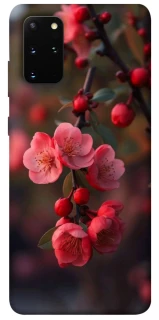 Чехол на Samsung Galaxy S20+ Flowers v28 фото 1 из 1