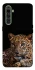 Чехол на Realme X50 Pro Leopard v4 фото 1 из 1