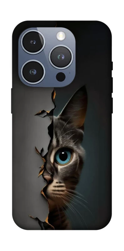 Чехол на Apple iPhone 16 Pro Кот-подглядыватель v2 фото 1 из 1