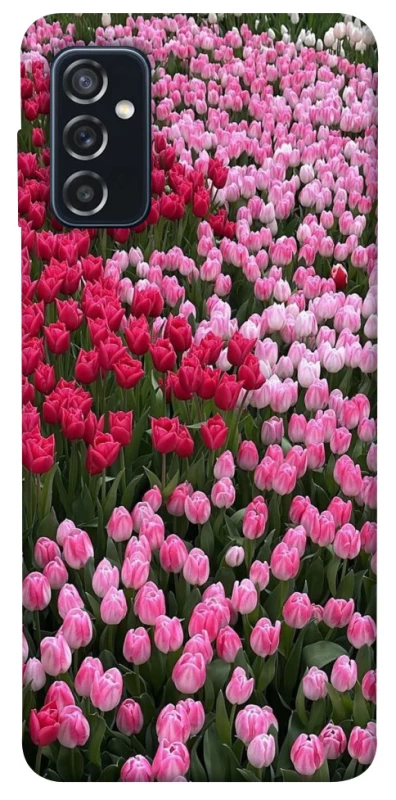 Чохол на Samsung Galaxy M52 Flowers v9 фото 1 з 1