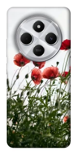 Чехол на Xiaomi Redmi 14C / Poco C75 Поле маков фото 1 из 1
