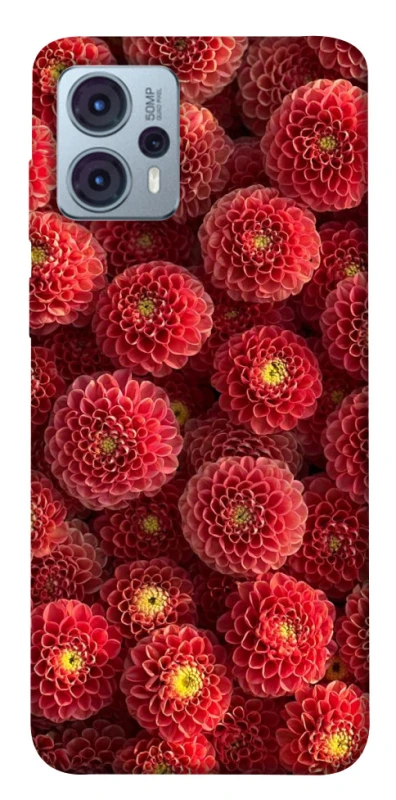 Чохол на Motorola Moto G23 Midnight1 фото 1 з 1