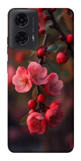 Чехол на Motorola Moto G24 Flowers v28 фото 1 из 1