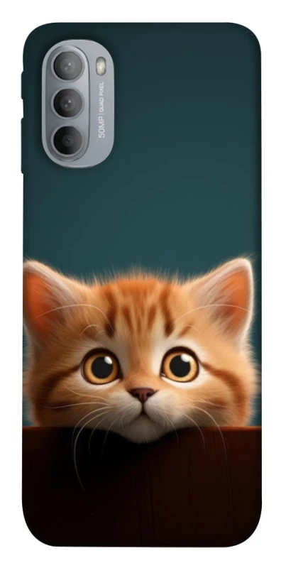 Чохол на Motorola Moto G31 Чохол Кошеня фото 1 з 1