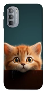 Чохол на Motorola Moto G31 Чохол Кошеня фото 1 з 1