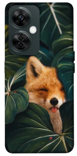 Чехол на OnePlus Nord CE 3 Lite Fox фото 1 из 1