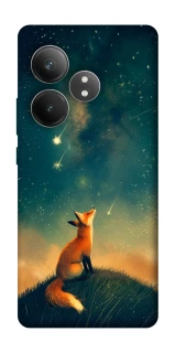 Чехол на Realme GT Neo 6 SE Sky fox фото 1 из 1