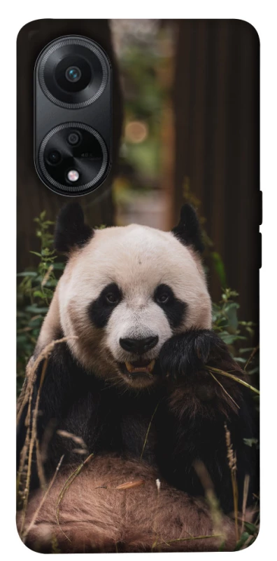 Чохол на Oppo A98 Панда фото 1 з 1