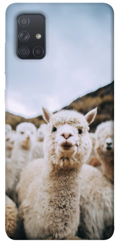 Чехол на Samsung Galaxy A71 Лама фото 1 из 1