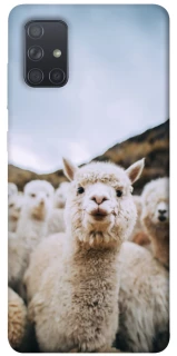 Чохол на Samsung Galaxy A71 Лама фото 1 з 1