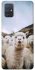 Чехол на Samsung Galaxy A71 Лама фото 1 из 1