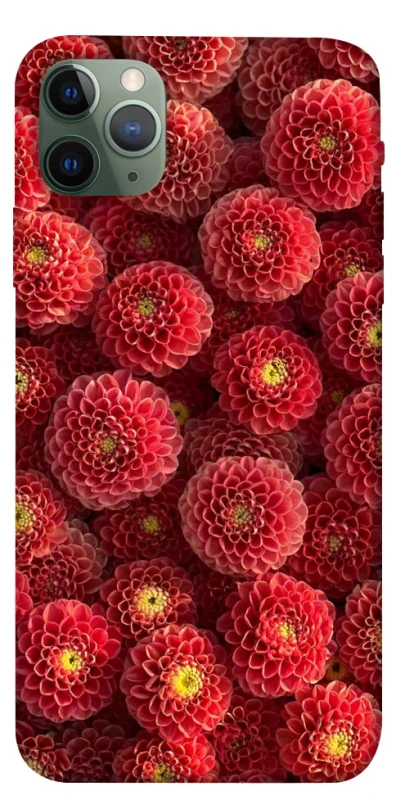 Чехол на Apple iPhone 11 Pro Max (6.5") Midnight1 фото 1 из 1