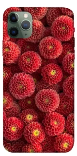 Чехол на Apple iPhone 11 Pro Max (6.5") Midnight1 фото 1 из 1