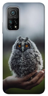 Чохол на Xiaomi Mi 10T Совеня фото 1 з 1