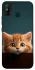 Чехол на TECNO Spark 6 Go Чехол Котёнок фото 1 из 1