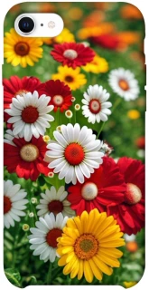 Чехол на Apple iPhone SE (2020) Flowers v11 фото 1 из 1