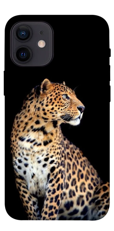 Чохол на Apple iPhone 12 mini (5.4") Leopard v2 фото 1 з 1