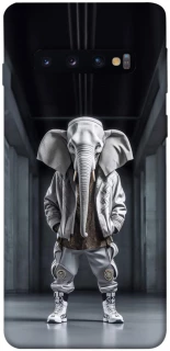 Чехол на Samsung Galaxy S10 Слон v2 фото 1 из 1