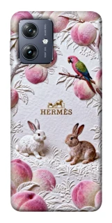 Чехол на Motorola Moto G54 Hermes фото 1 из 1