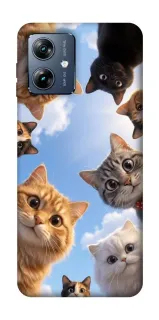 Чехол на Motorola Moto G54 Power Cats фото 1 из 1